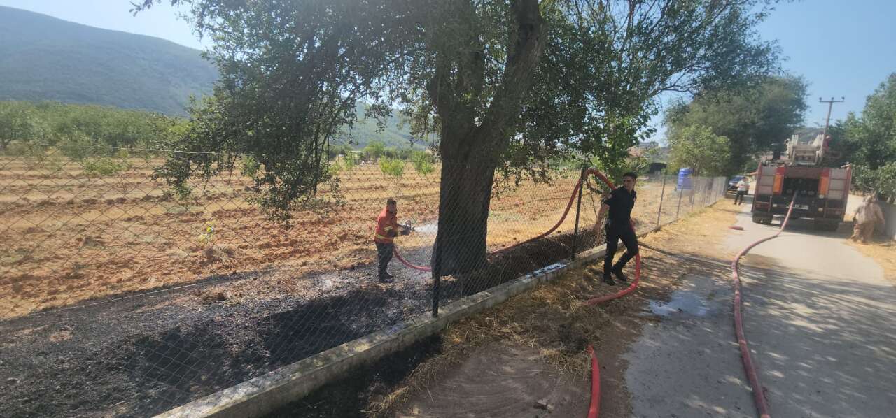 Menteşe’de Bahçe Yangını: Havadan Müdahale Başladı 1
